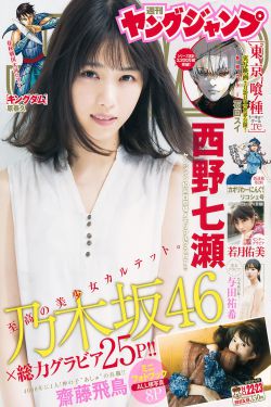 元首的愤怒